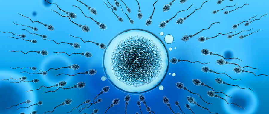 精子过多也能导致不育？男性这样