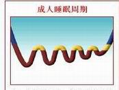 脑电波与睡眠
