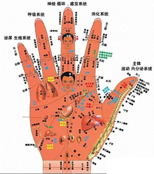 手掌穴位对应器官
