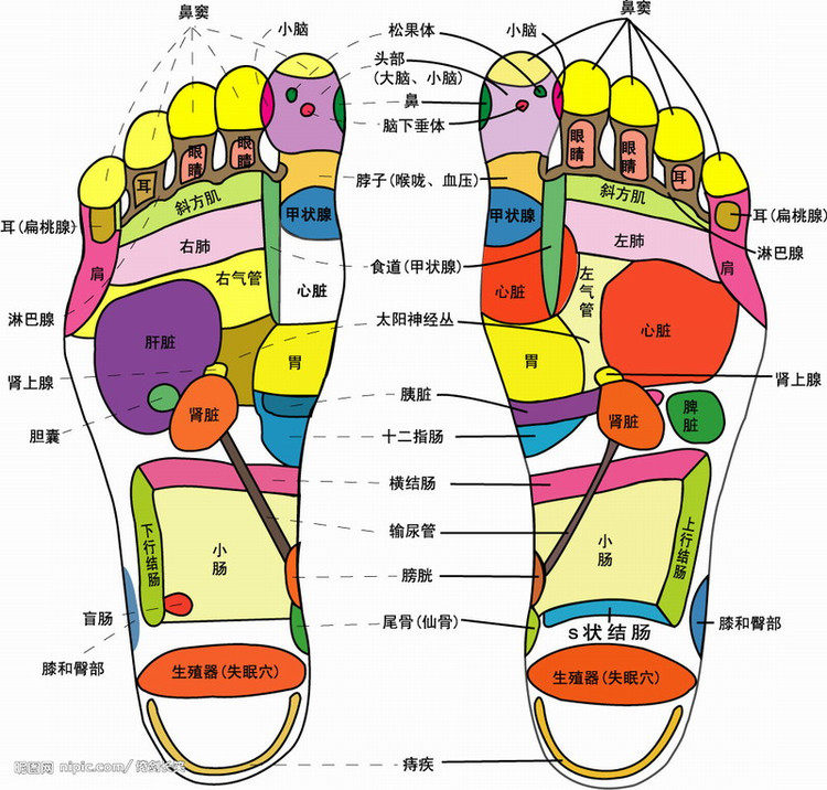 足底按摩穴位