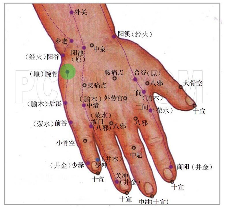 手掌穴位