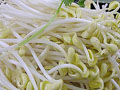 夏季多吃豆芽可降火